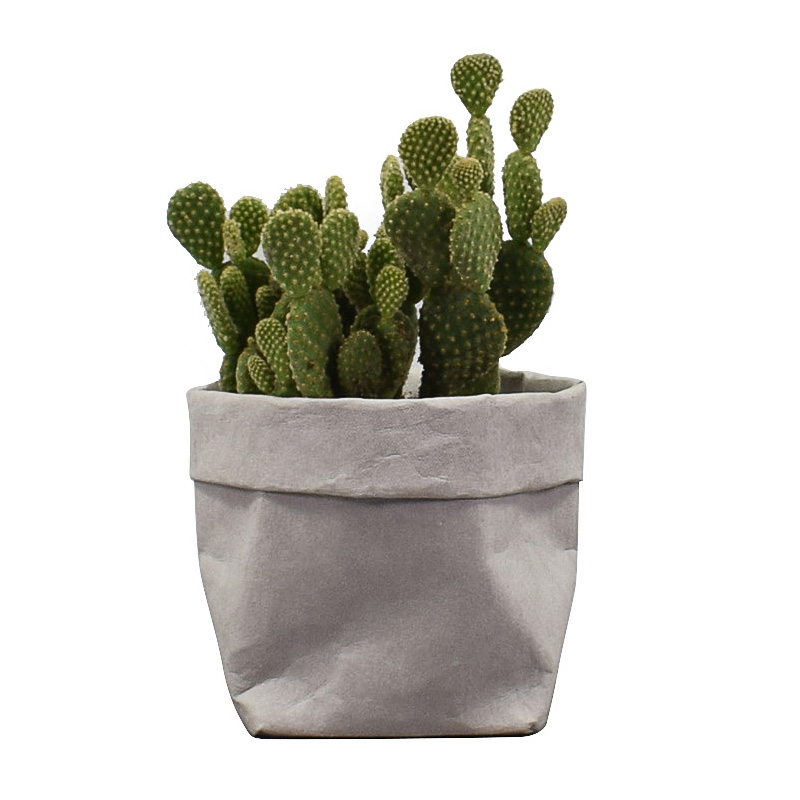Recycle Paper Bag washable sto - Kitchen Living Baking Mats reseña y precio